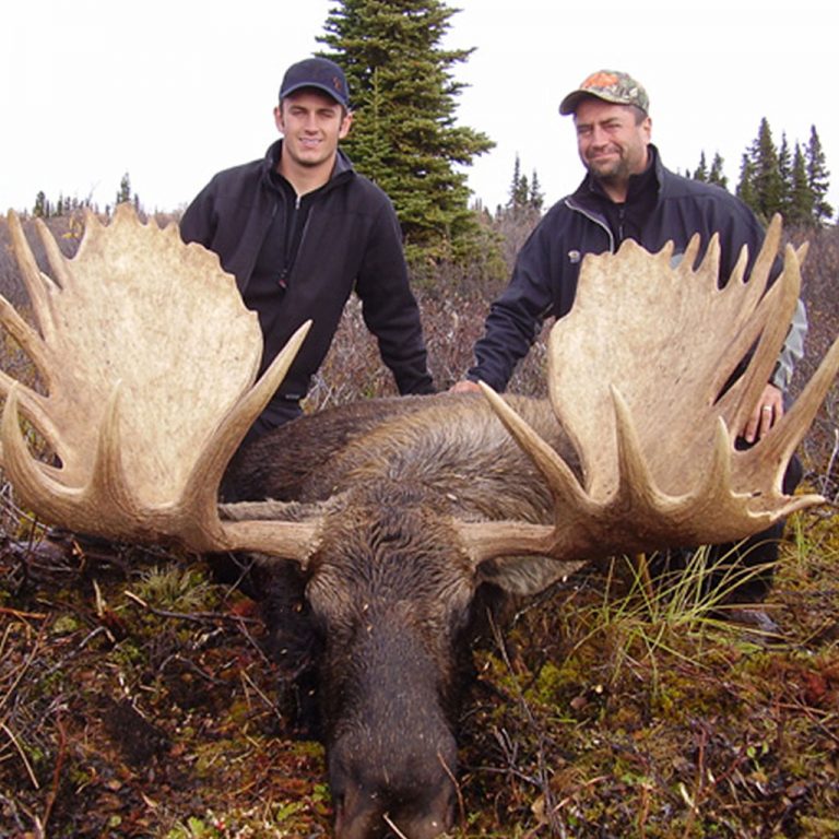 Canadian Moose - Golden Bear Outfitting | Elite Hunting in British Columbia