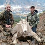 Golden Bear Outfitting - Mountain Goat Hunts