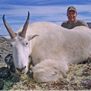 Golden Bear Outfitting - Mountain Goat Hunt