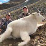 Golden Bear Outfitting - Mountain Goat Hunts 2022