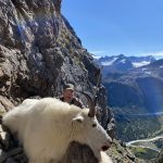 Golden Bear Outfitting - Mountain Goat Hunts 2022