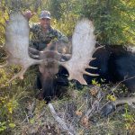 Golden Bear Outfitting - Moose Hunts - 2022