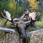 golden bear outfitting - canadian moose hunts