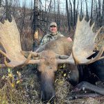 golden bear outfitting - canadian moose hunts
