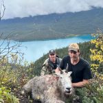 golden bear outfitting - mountain goat hunts
